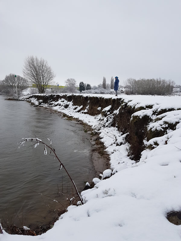 uiterwaarde